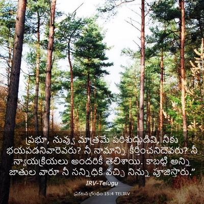 Picture 03 - ప్రకటన గ్రంథం 15:4 TELIRV - ప్రభూ, నువ్వు - Bible Verse Picture