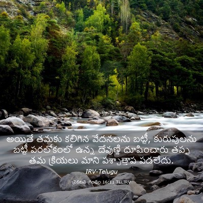 Picture 03 - ప్రకటన గ్రంథం 16:11 TELIRV - అయితే తమకు కలిగిన - Bible Verse Picture
