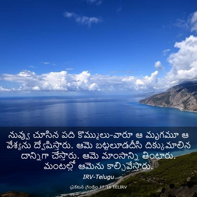 Picture 03 - ప్రకటన గ్రంథం 17:16 TELIRV - నువ్వు చూసిన పది - Bible Verse Picture