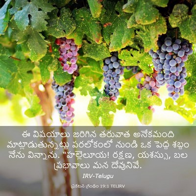 Picture 03 - ప్రకటన గ్రంథం 19:1 TELIRV - ఈ విషయాలు జరిగిన - Bible Verse Picture