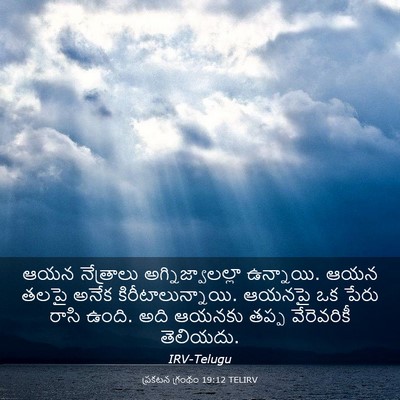 Picture 03 - ప్రకటన గ్రంథం 19:12 TELIRV - ఆయన నేత్రాలు - Bible Verse Picture