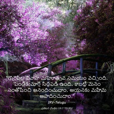Picture 03 - ప్రకటన గ్రంథం 19:7 TELIRV - “గొర్రెపిల్ల - Bible Verse Picture
