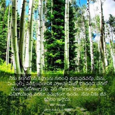 Picture 03 - ప్రకటన గ్రంథం 2:10 TELIRV - నీకు కలగబోయే - Bible Verse Picture