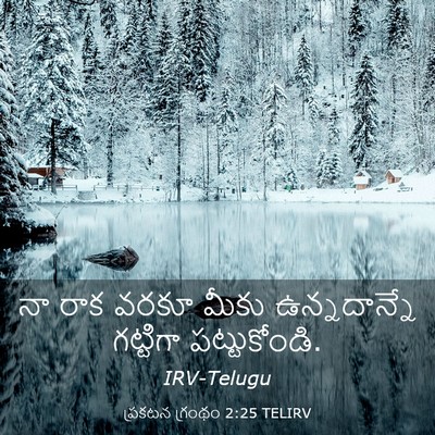 Picture 03 - ప్రకటన గ్రంథం 2:25 TELIRV - నా రాక వరకూ మీకు - Bible Verse Picture