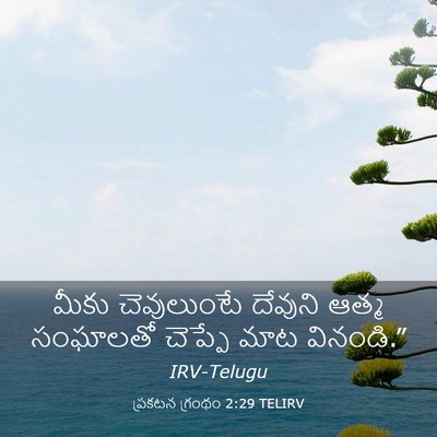 Picture 03 - ప్రకటన గ్రంథం 2:29 TELIRV - మీకు చెవులుంటే - Bible Verse Picture