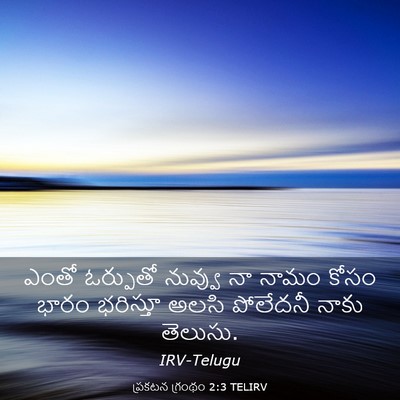 Picture 03 - ప్రకటన గ్రంథం 2:3 TELIRV - ఎంతో ఓర్పుతో - Bible Verse Picture