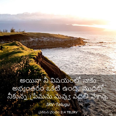 Picture 03 - ప్రకటన గ్రంథం 2:4 TELIRV - అయినా నీ విషయంలో - Bible Verse Picture