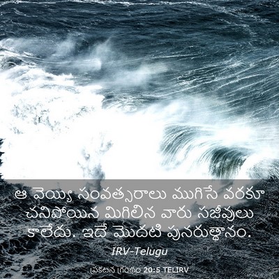 Picture 03 - ప్రకటన గ్రంథం 20:5 TELIRV - ఆ వెయ్యి - Bible Verse Picture