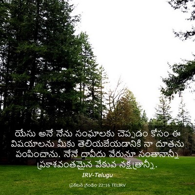 Picture 03 - ప్రకటన గ్రంథం 22:16 TELIRV - యేసు అనే నేను - Bible Verse Picture