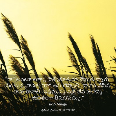 Picture 03 - ప్రకటన గ్రంథం 22:17 TELIRV - “రా” అంటూ ఆత్మా, - Bible Verse Picture