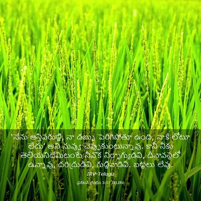Picture 03 - ప్రకటన గ్రంథం 3:17 TELIRV - ‘నేను - Bible Verse Picture