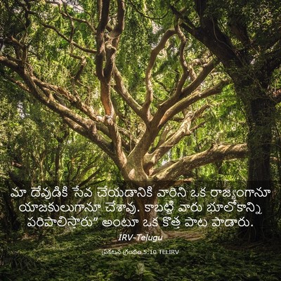 Picture 03 - ప్రకటన గ్రంథం 5:10 TELIRV - మా దేవుడికి సేవ - Bible Verse Picture