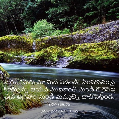 Picture 03 - ప్రకటన గ్రంథం 6:16 TELIRV - వారు, “మీరు మా మీద - Bible Verse Picture