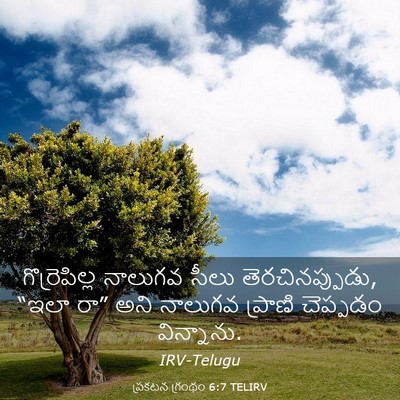Picture 03 - ప్రకటన గ్రంథం 6:7 TELIRV - గొర్రెపిల్ల - Bible Verse Picture