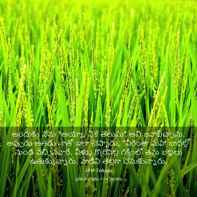 Picture 03 - ప్రకటన గ్రంథం 7:14 TELIRV - అందుకు నేను - Bible Verse Picture