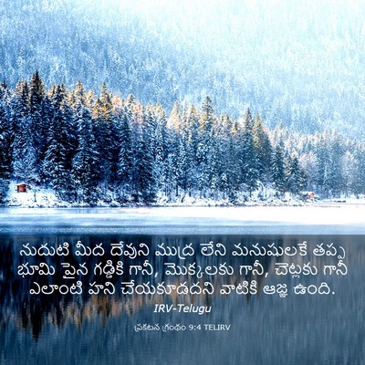 Picture 03 - ప్రకటన గ్రంథం 9:4 TELIRV - నుదుటి మీద దేవుని - Bible Verse Picture