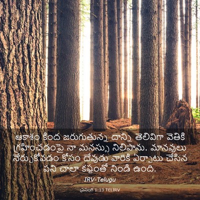 Picture 03 - ప్రసంగి 1:13 TELIRV - ఆకాశం కింద - Bible Verse Picture