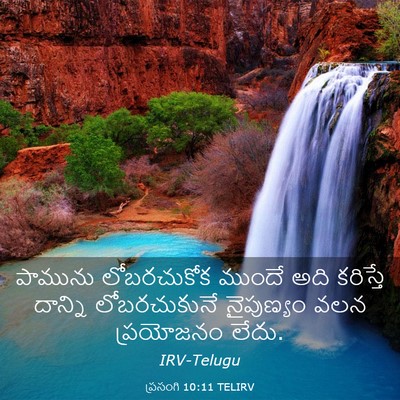 Picture 03 - ప్రసంగి 10:11 TELIRV - పామును లోబరచుకోక - Bible Verse Picture
