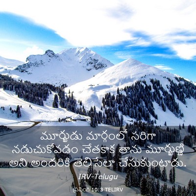 Picture 03 - ప్రసంగి 10:3 TELIRV - మూర్ఖుడు మార్గంలో - Bible Verse Picture