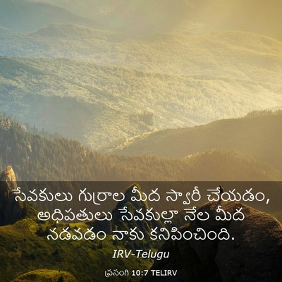 Picture 03 - ప్రసంగి 10:7 TELIRV - సేవకులు గుర్రాల - Bible Verse Picture