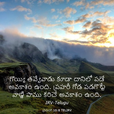 Picture 03 - ప్రసంగి 10:8 TELIRV - గొయ్యి తవ్వేవాడు - Bible Verse Picture