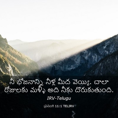 Picture 03 - ప్రసంగి 11:1 TELIRV - నీ భోజనాన్ని - Bible Verse Picture
