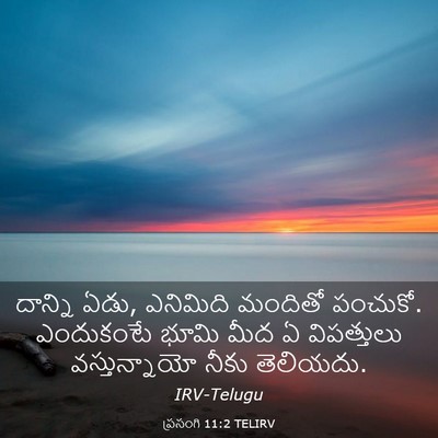 Picture 03 - ప్రసంగి 11:2 TELIRV - దాన్ని ఏడు, - Bible Verse Picture