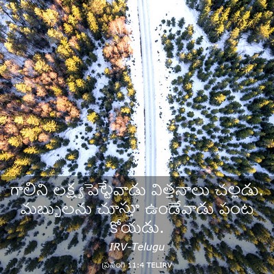 Picture 03 - ప్రసంగి 11:4 TELIRV - గాలిని - Bible Verse Picture