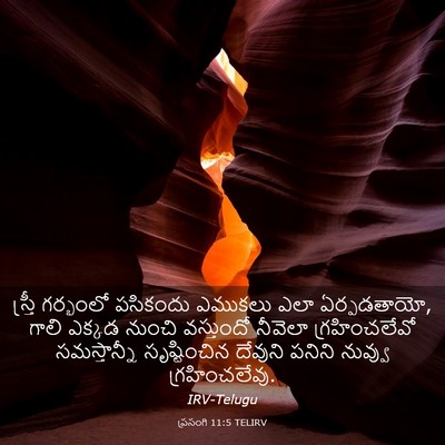 Picture 03 - ప్రసంగి 11:5 TELIRV - స్త్రీ గర్భంలో - Bible Verse Picture