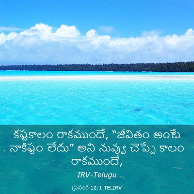 Picture 03 - ప్రసంగి 12:1 TELIRV - కష్టకాలం - Bible Verse Picture