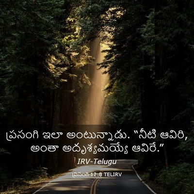 Picture 03 - ప్రసంగి 12:8 TELIRV - ప్రసంగి ఇలా - Bible Verse Picture