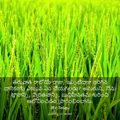 Picture 03 - ప్రసంగి 2:12 TELIRV - తరువాత రాబోయే - Bible Verse Picture