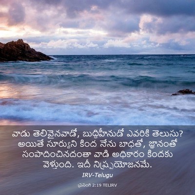 Picture 03 - ప్రసంగి 2:19 TELIRV - వాడు తెలివైనవాడో, - Bible Verse Picture