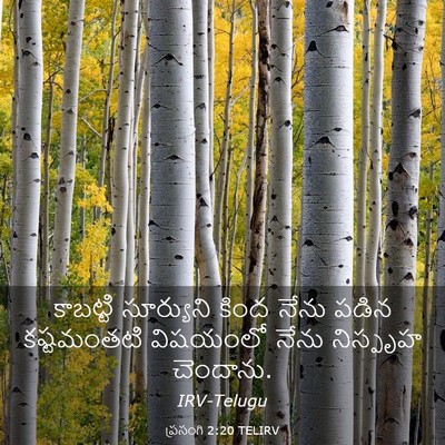 Picture 03 - ప్రసంగి 2:20 TELIRV - కాబట్టి సూర్యుని - Bible Verse Picture