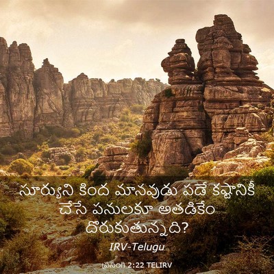 Picture 03 - ప్రసంగి 2:22 TELIRV - సూర్యుని కింద - Bible Verse Picture