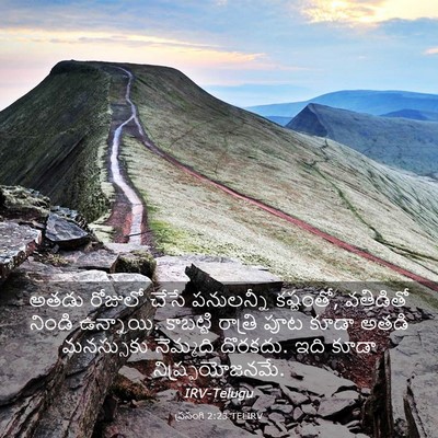 Picture 03 - ప్రసంగి 2:23 TELIRV - అతడు రోజులో చేసే - Bible Verse Picture