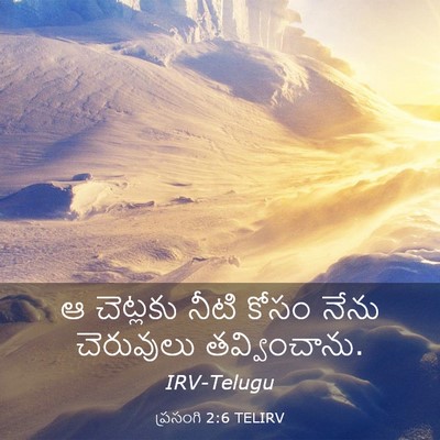 Picture 03 - ప్రసంగి 2:6 TELIRV - ఆ చెట్లకు నీటి - Bible Verse Picture