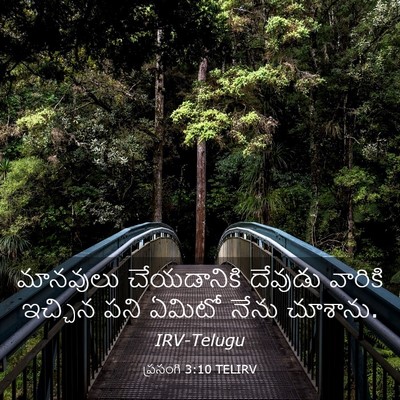 Picture 03 - ప్రసంగి 3:10 TELIRV - మానవులు చేయడానికి - Bible Verse Picture