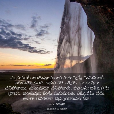 Picture 03 - ప్రసంగి 3:19 TELIRV - ఎందుకంటే - Bible Verse Picture