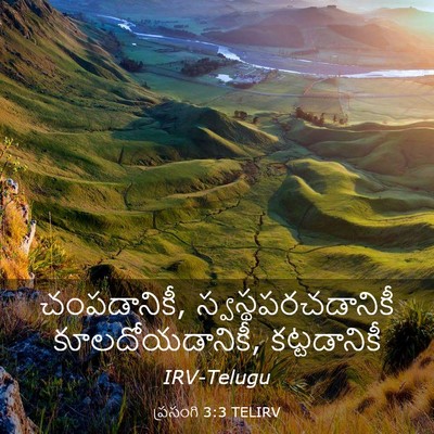 Picture 03 - ప్రసంగి 3:3 TELIRV - చంపడానికీ, - Bible Verse Picture