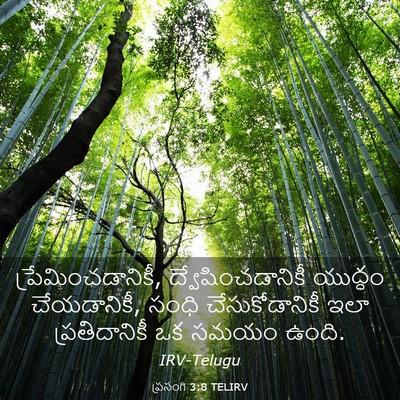 Picture 03 - ప్రసంగి 3:8 TELIRV - ప్రేమించడానికీ, - Bible Verse Picture