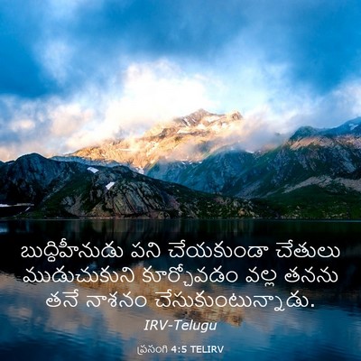 Picture 03 - ప్రసంగి 4:5 TELIRV - బుద్ధిహీనుడు పని - Bible Verse Picture