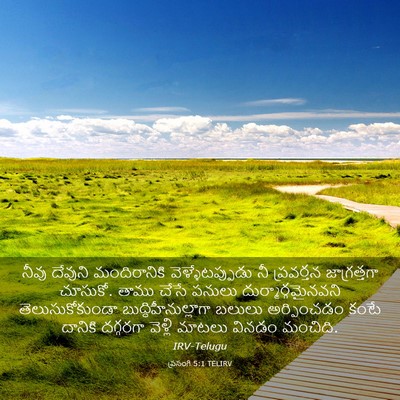 Picture 03 - ప్రసంగి 5:1 TELIRV - నీవు దేవుని - Bible Verse Picture