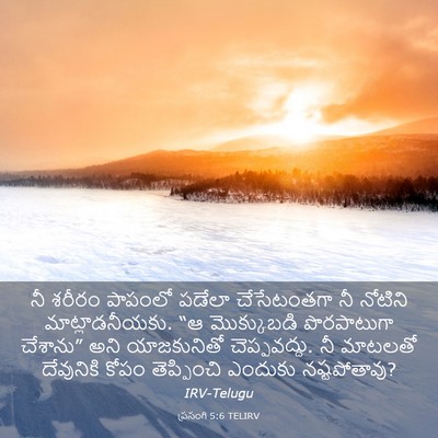 Picture 03 - ప్రసంగి 5:6 TELIRV - నీ శరీరం పాపంలో - Bible Verse Picture