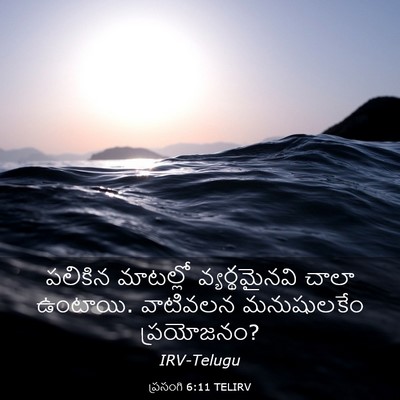 Picture 03 - ప్రసంగి 6:11 TELIRV - పలికిన మాటల్లో - Bible Verse Picture