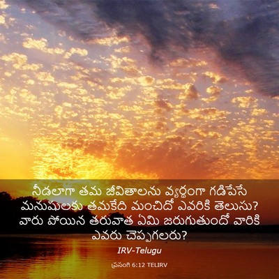 Picture 03 - ప్రసంగి 6:12 TELIRV - నీడలాగా తమ - Bible Verse Picture