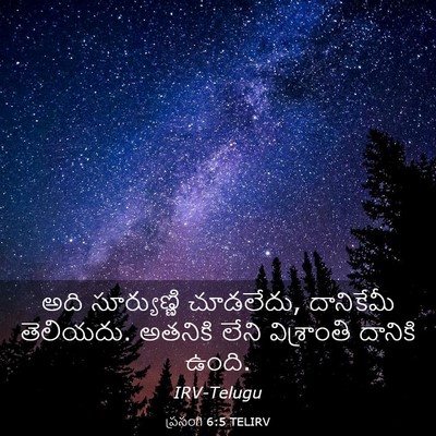 Picture 03 - ప్రసంగి 6:5 TELIRV - అది సూర్యుణ్ణి - Bible Verse Picture