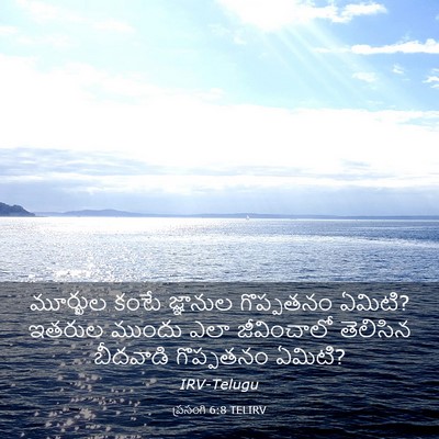 Picture 03 - ప్రసంగి 6:8 TELIRV - మూర్ఖుల కంటే - Bible Verse Picture