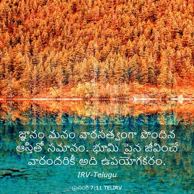 Picture 03 - ప్రసంగి 7:11 TELIRV - జ్ఞానం మనం - Bible Verse Picture