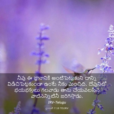 Picture 03 - ప్రసంగి 7:18 TELIRV - నీవు ఈ జ్ఞానానికి - Bible Verse Picture